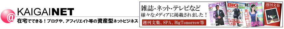 KaigaiNet.com - 最新インターネットビジネスや資産構築型手法を解説!