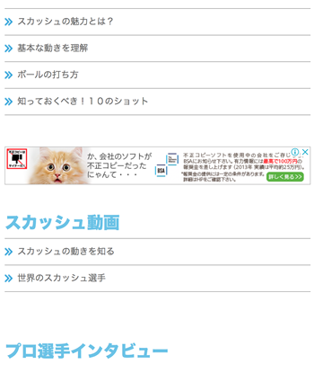 【ラストビュー:サイドバー(スマホは下)】
